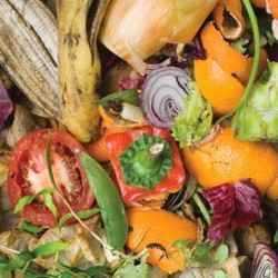Casi un 50% de la basura de los chilenos es orgánica