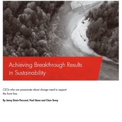 Informe “Cómo lograr una penetración en los Resultados de Sustentabilidad en la empresa”