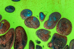 Instagram: te invitamos a ser parte de la comunidad