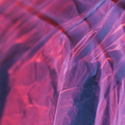 Webinar Alianza por el Género: Conciencia para transformar a nuestro inconsciente