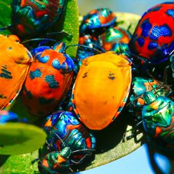 Informe de Tendencias de Sostenibilidad 2021