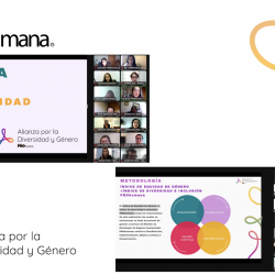 Taller Índice de Equidad de Género + Índice de Diversidad e Inclusión